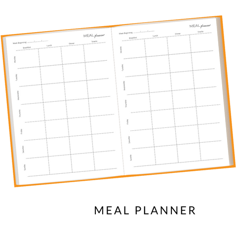 Image of The Pro Tennis Journal